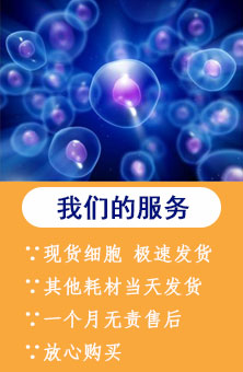 熱門導航